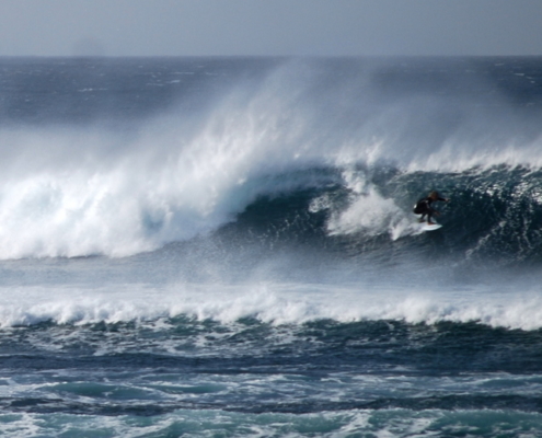 surf fuerteventura