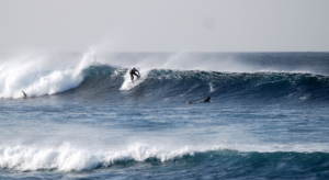 surf fuerteventura