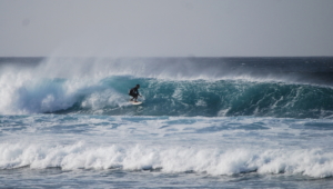 surf fuerteventura