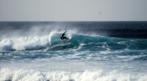 surf fuerteventura