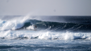 surf fuerteventura