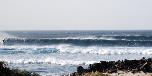 surf fuerteventura