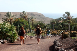 fuerteventura oasis park