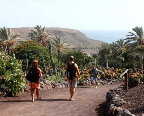 fuerteventura oasis park