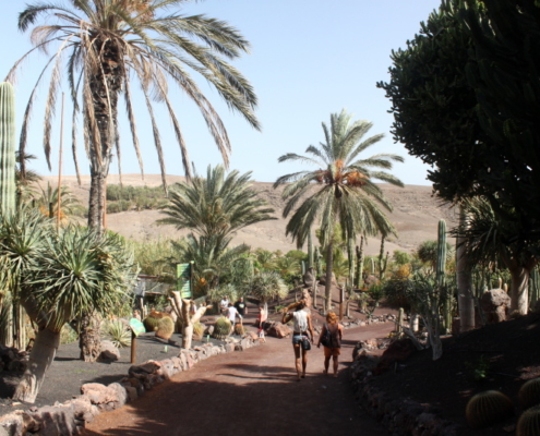 oasis par fuerteventura