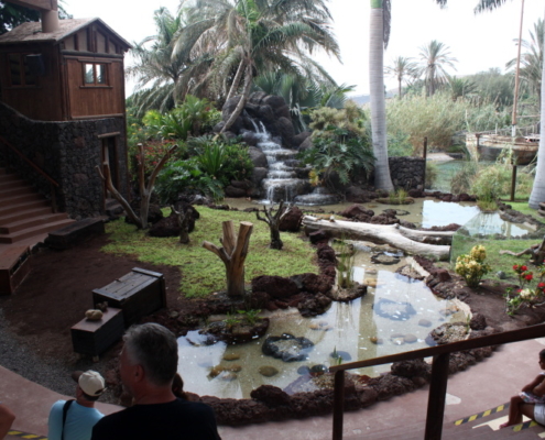 fuerteventura oasis park