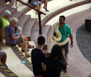 fuerteventura oasis park