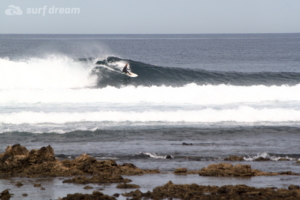 surf fuerteventura