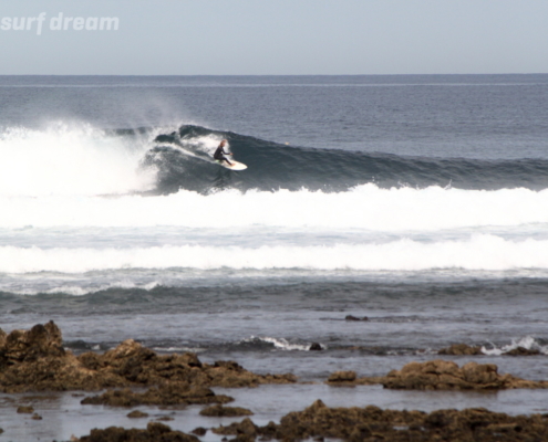 surf fuerteventura