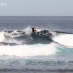 surf fuerteventura