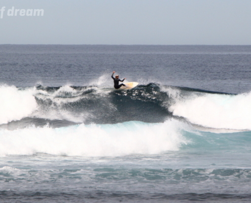 surf fuerteventura