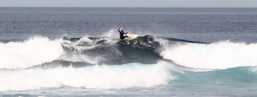 surf fuerteventura