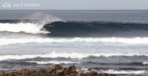 surf fuerteventura