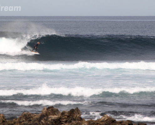 surf fuerteventura