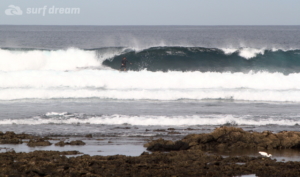 surf fuerteventura