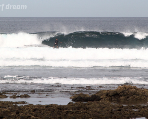 surf fuerteventura