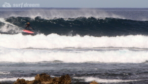 surf fuerteventura