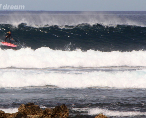 surf fuerteventura