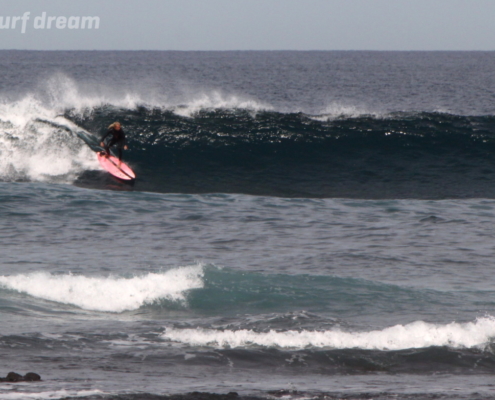 surf fuerteventura