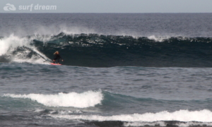 surf fuerteventura