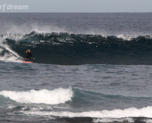 surf fuerteventura