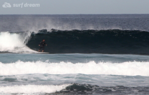 surf fuerteventura