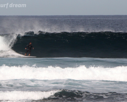 surf fuerteventura