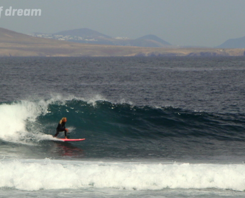 surf fuerteventura