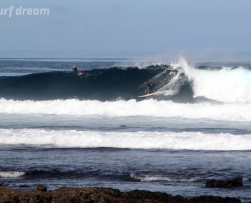 surf fuerteventura