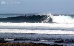 surf fuerteventura