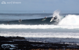 surf fuerteventura