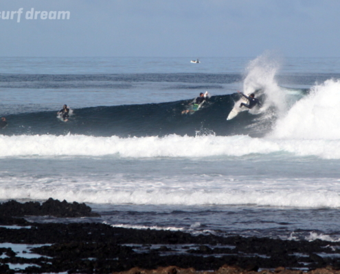 surf fuerteventura