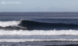 surf fuerteventura
