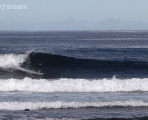 surf fuerteventura