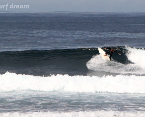 surf fuerteventura