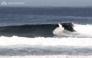 surf fuerteventura