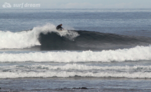 surf fuerteventura