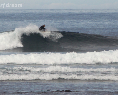 surf fuerteventura