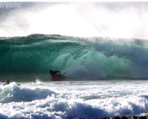 surf el cotillo