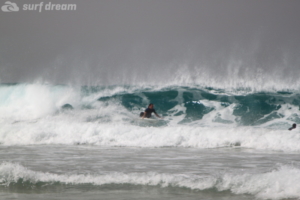 surf fuerteventura