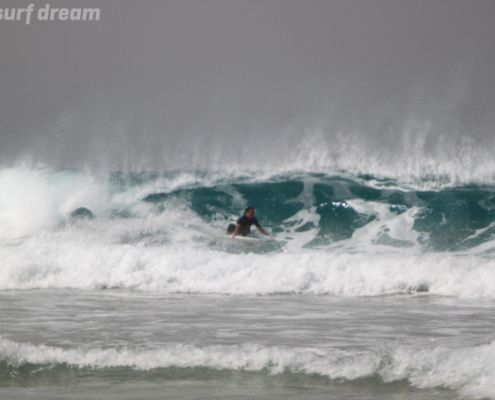 surf fuerteventura