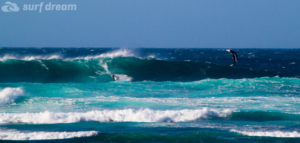 fuerteventura kite