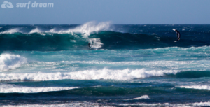 fuerteventura kite