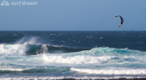 fuerteventura kite