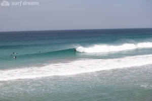 surf fuerteventura