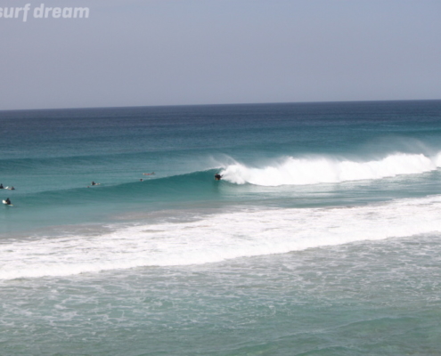 surf fuerteventura