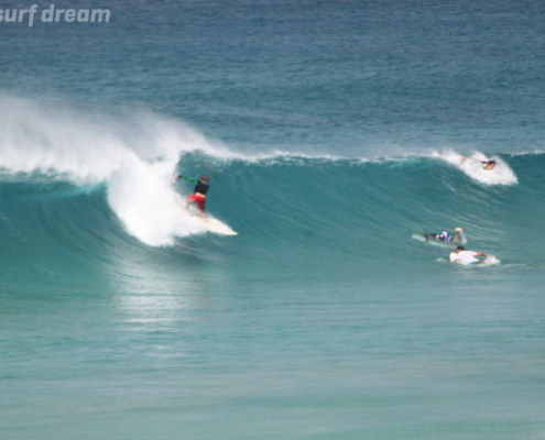 surf fuerteventura