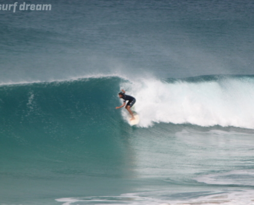 surf fuerteventura