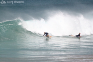 surf fuerteventura