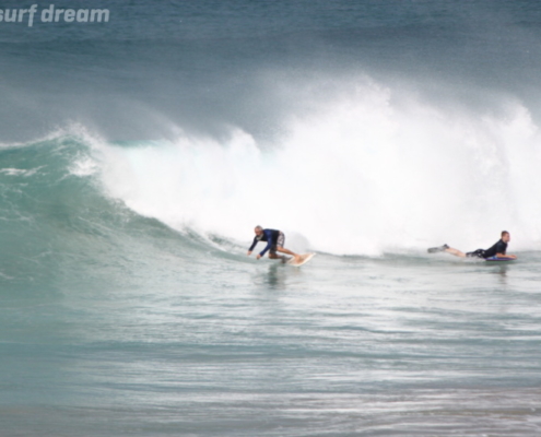 surf fuerteventura